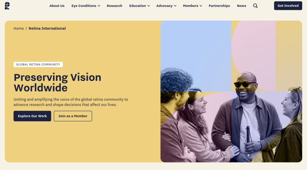 Screengrab from the new RI website