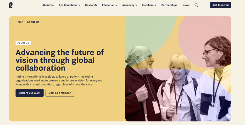 Screengrab from the new RI website