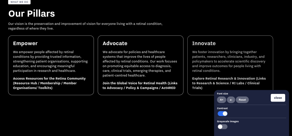 Screengrab from the new RI website